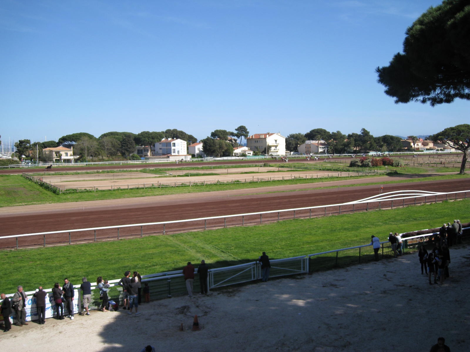 Courses hippiques à l'hippodrome d'Hyères - Courses hippiques à l'hippodrome d'Hyères