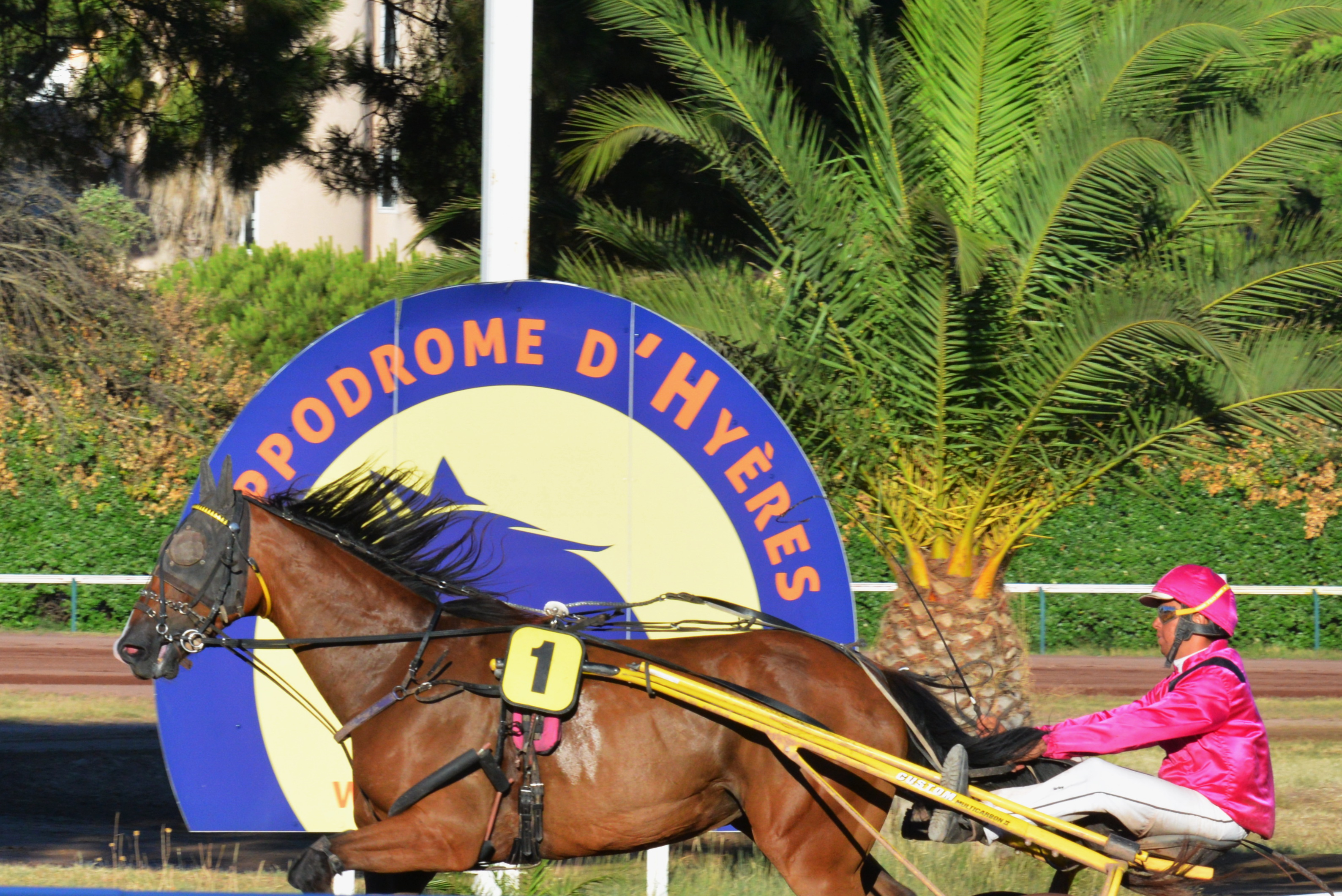 hippodrome - Courses hippiques à l'hippodrome d'Hyères