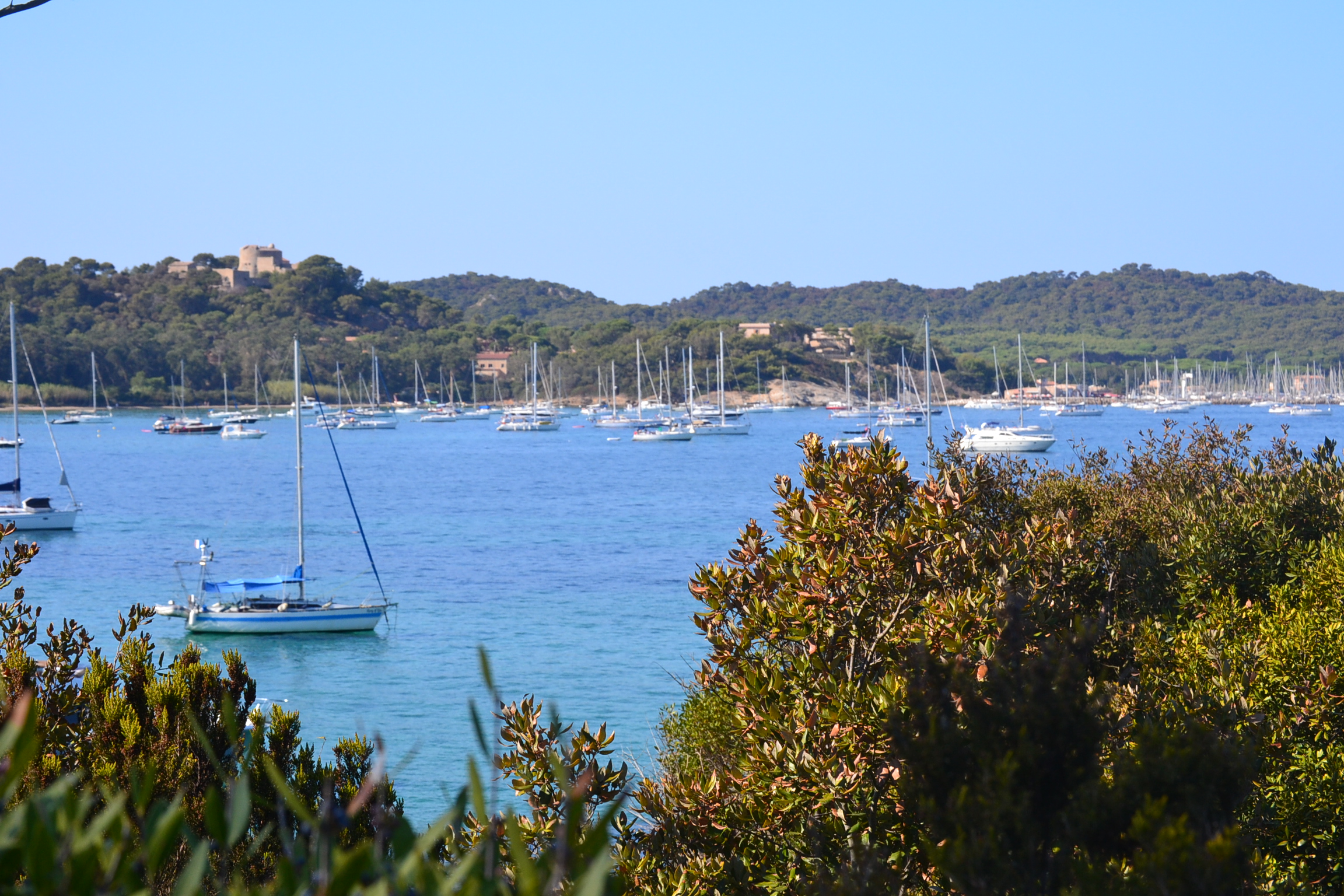 Visite guidée à la découverte de Porquerolles, hors des sentiers battus - Visite guidée à la découverte de Porquerolles, hors des sentiers battus