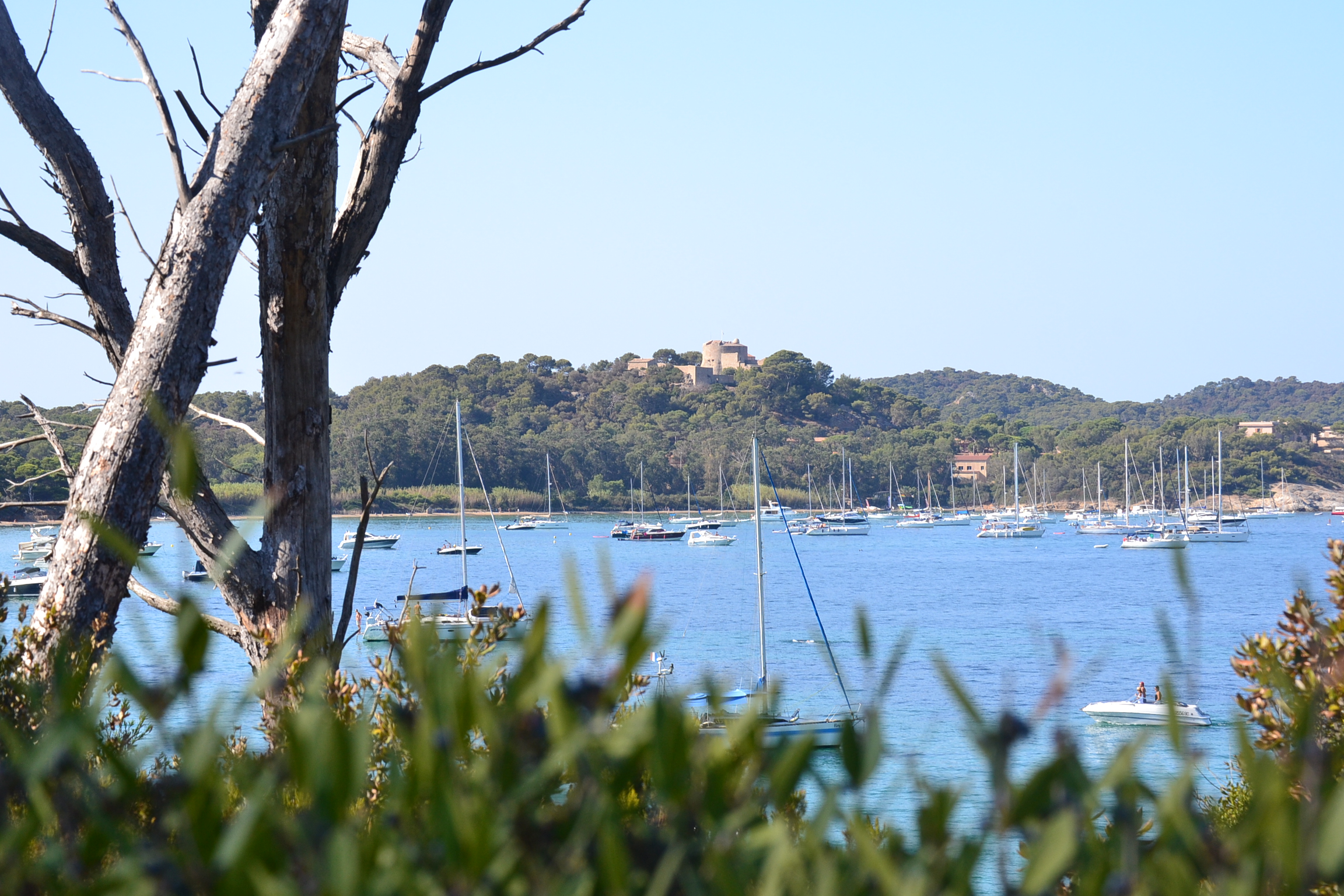 Visite guidée à la découverte de Porquerolles, hors des sentiers battus - Visite guidée à la découverte de Porquerolles, hors des sentiers battus