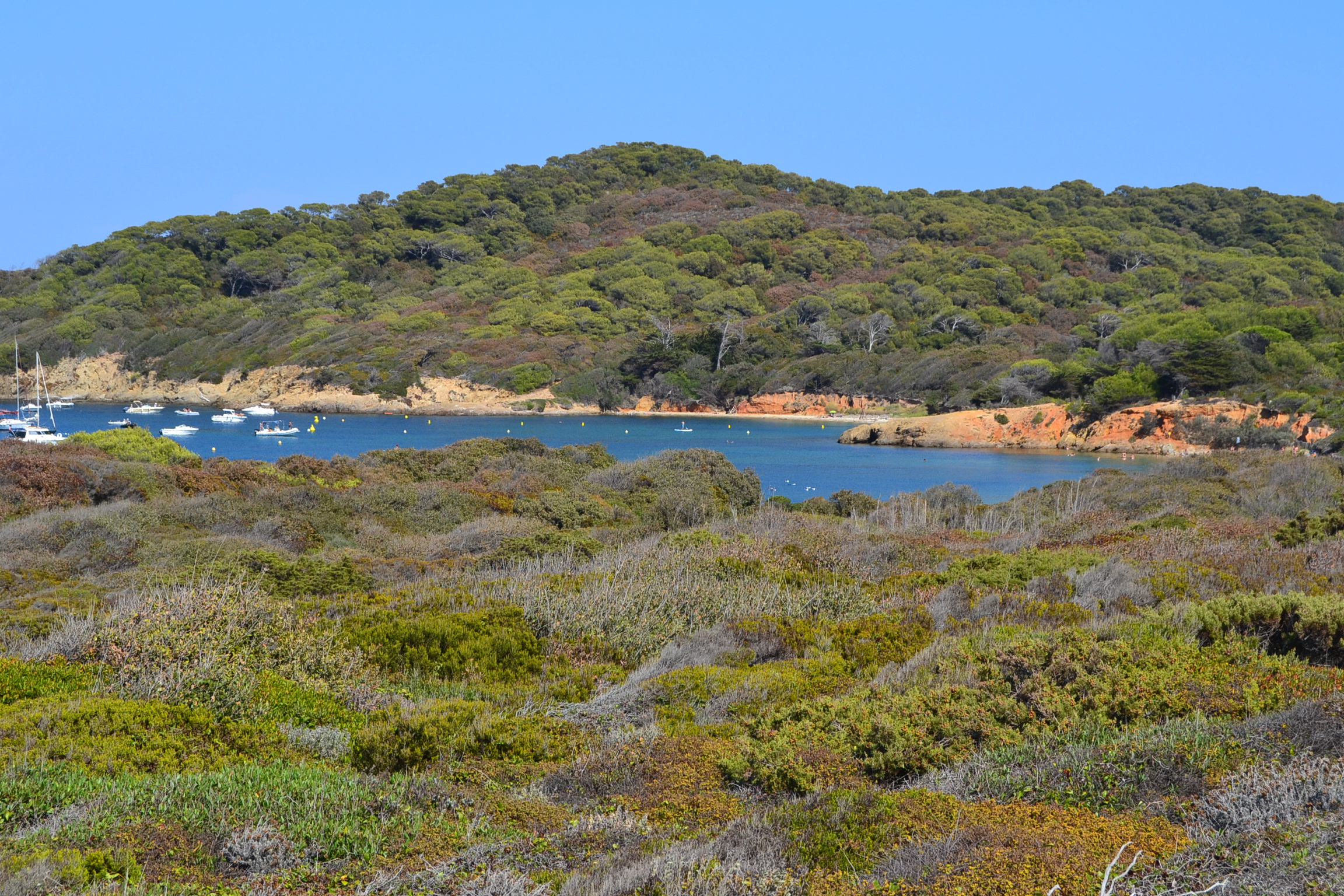 Visite guidée à la découverte de Porquerolles, hors des sentiers battus - Visite guidée à la découverte de Porquerolles, hors des sentiers battus
