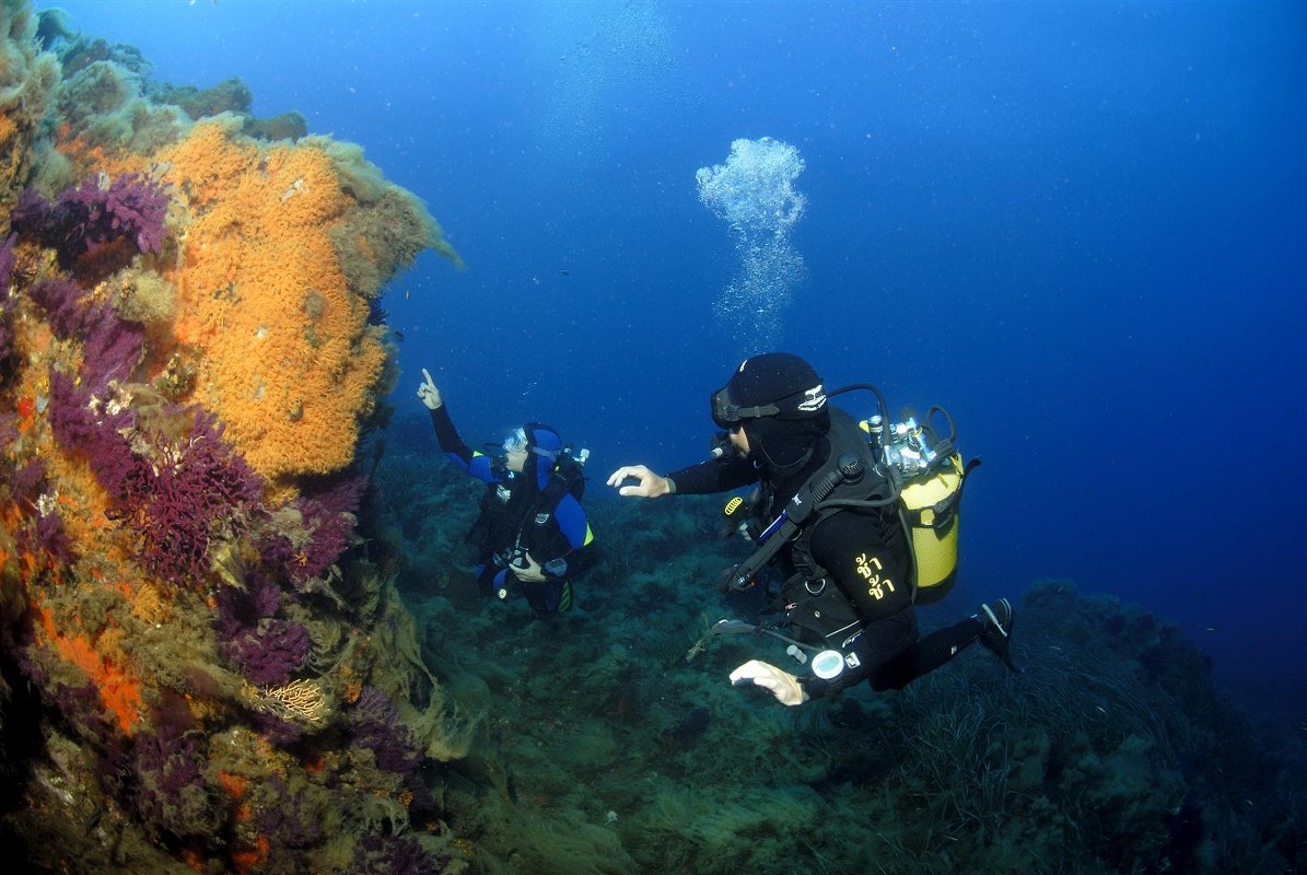 European Diving School - Kurt Amsler