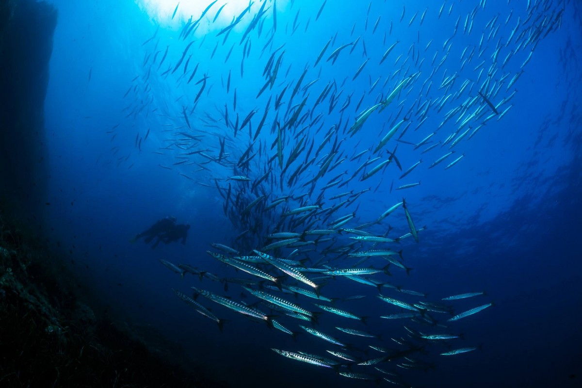 European Diving School - Kurt Amsler