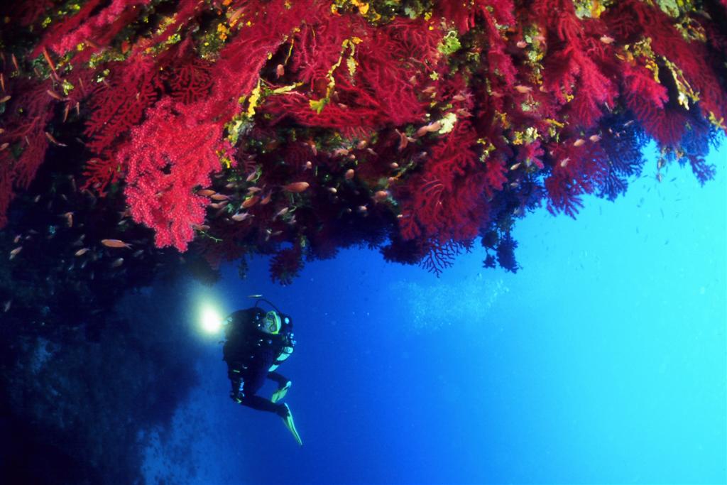 European Diving School - Manuela Kirschner