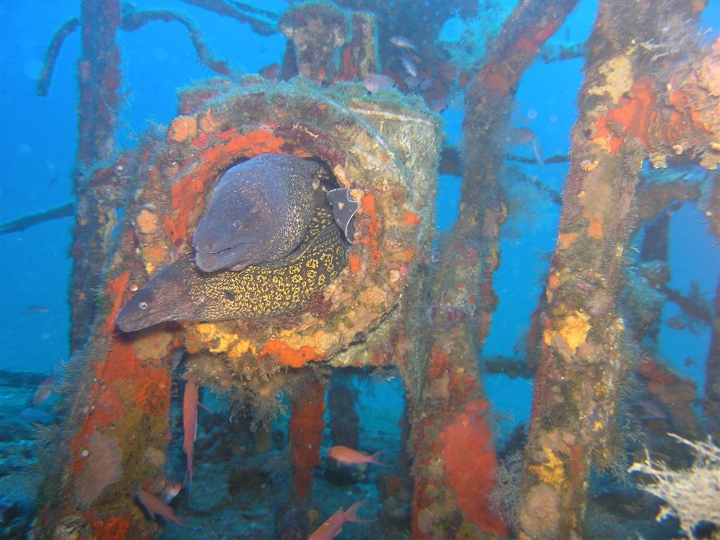 European Diving School - Oscar Schad