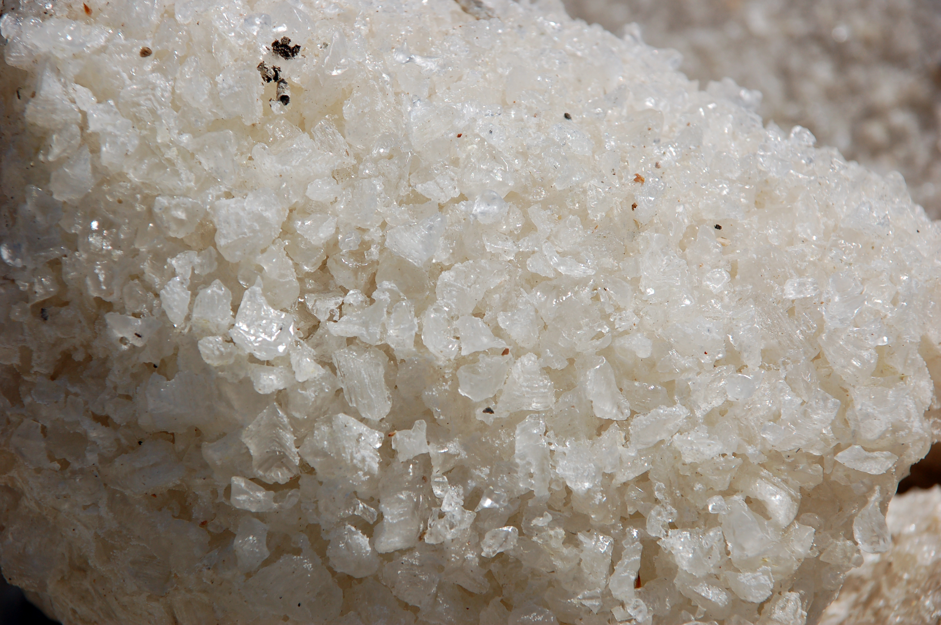 Visite guidée Histoire du sel Hyeres La Capte - Hyeres Tourisme