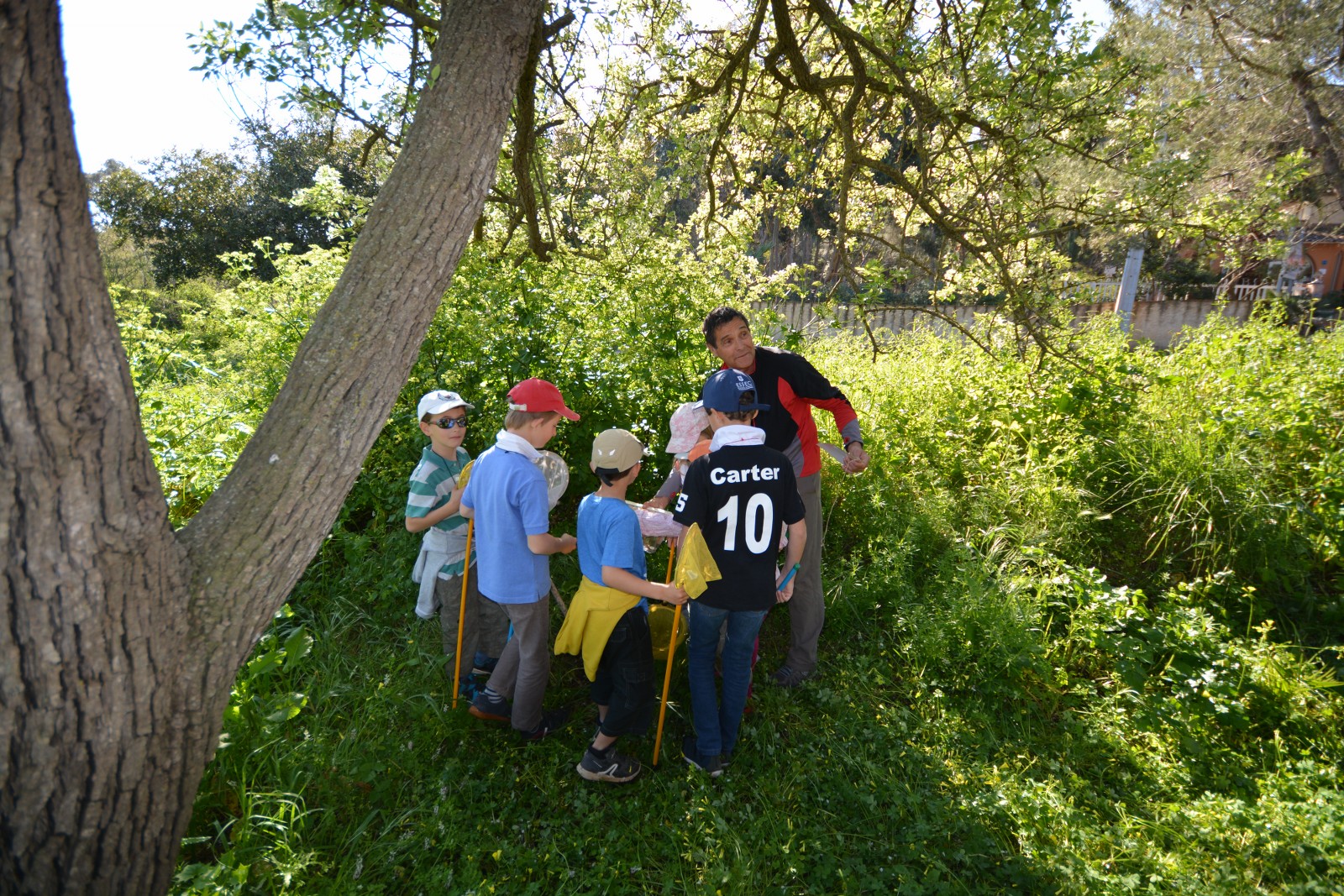 Visite nature Fernando Sandoval petit parcours dans le maquis presqu'île de Giens - Hyeres Tourisme