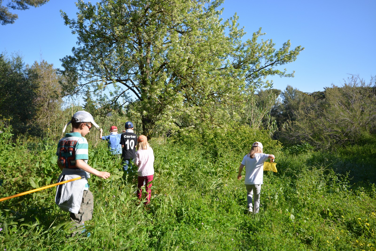Visite nature Fernando Sandoval petit parcours dans le maquis presqu'île de Giens - Hyeres Tourisme