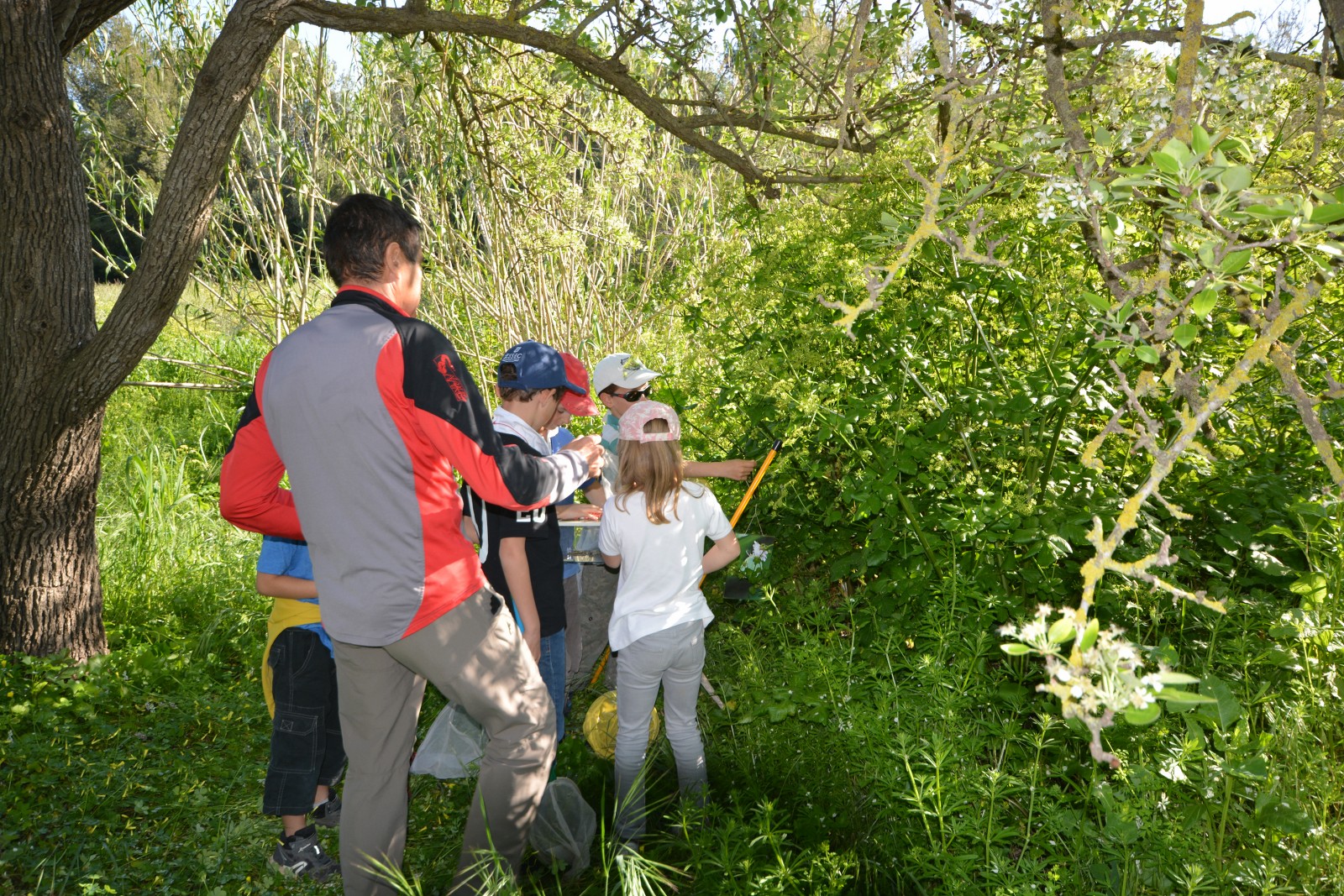 Visite nature Fernando Sandoval petit parcours dans le maquis presqu'île de Giens - Hyeres Tourisme