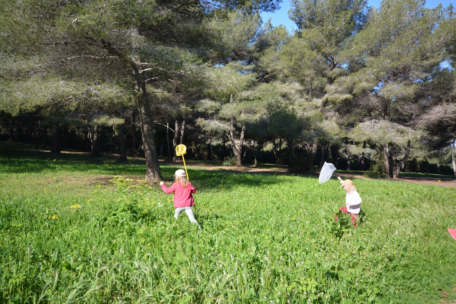 Visite nature Fernando Sandoval petit parcours dans le maquis presqu'île de Giens - Hyeres Tourisme