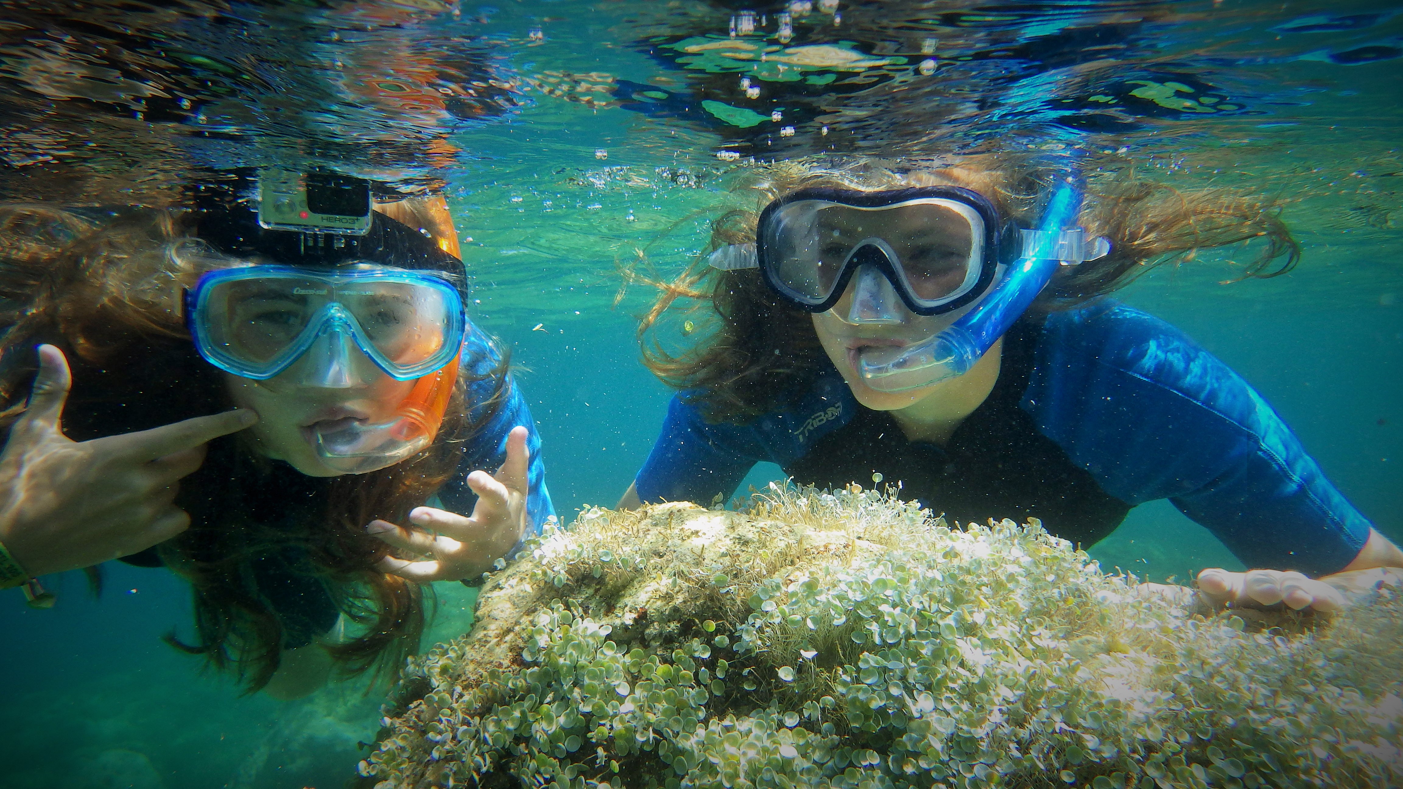 Destination Bleu - Destination BLEU