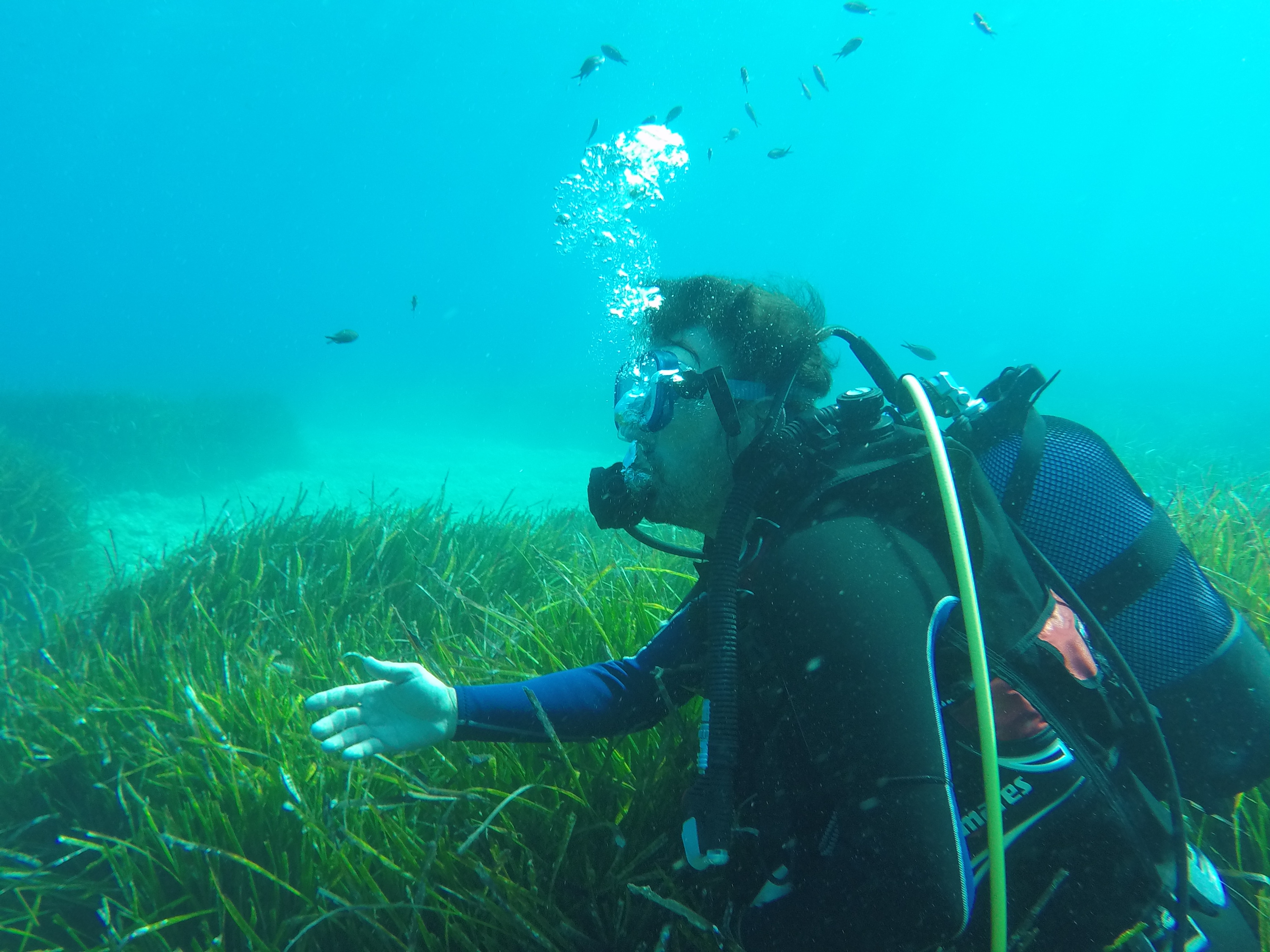 Baptême de plongée en mode VIP - Destination BLEU