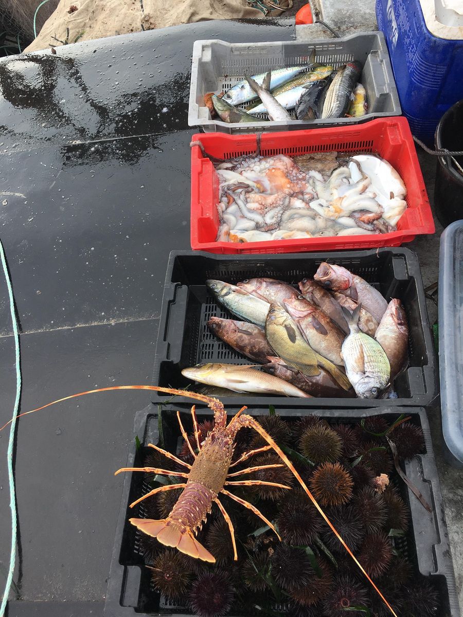 Pêcheur Bateau Aventure Carqueiranne - pêcheur Bateau Aventure Carqueiranne