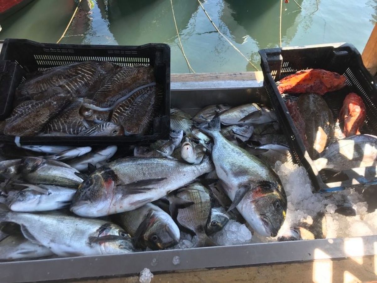 Pêcheur Bateau Aventure Carqueiranne - pêcheur Bateau Aventure Carqueiranne