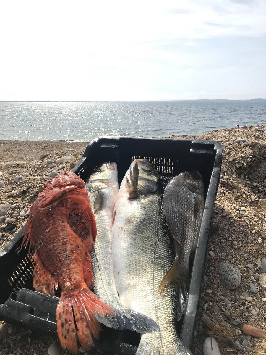 Pêcheur Bateau Aventure Carqueiranne - pêcheur Bateau Aventure Carqueiranne
