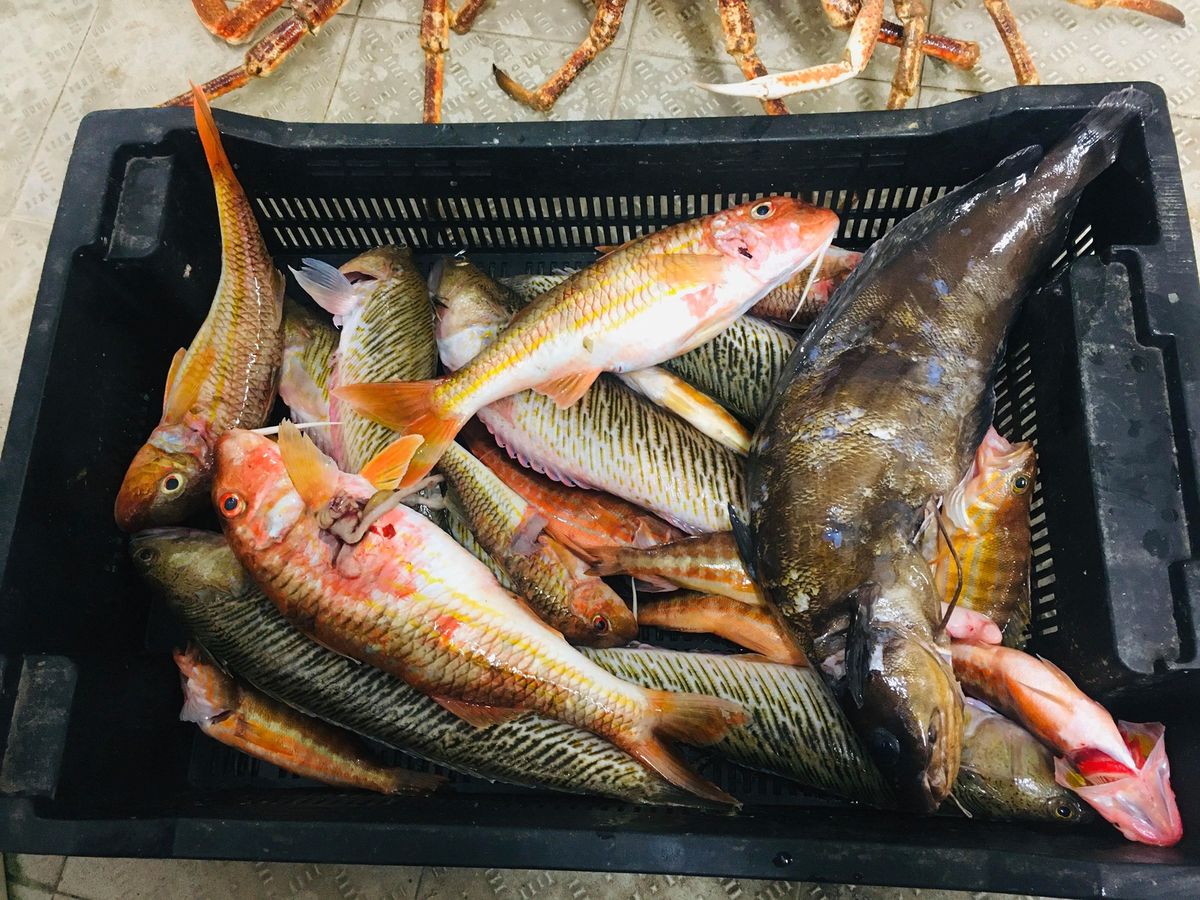 Pêcheur Bateau Aventure Carqueiranne - pêcheur Bateau Aventure Carqueiranne