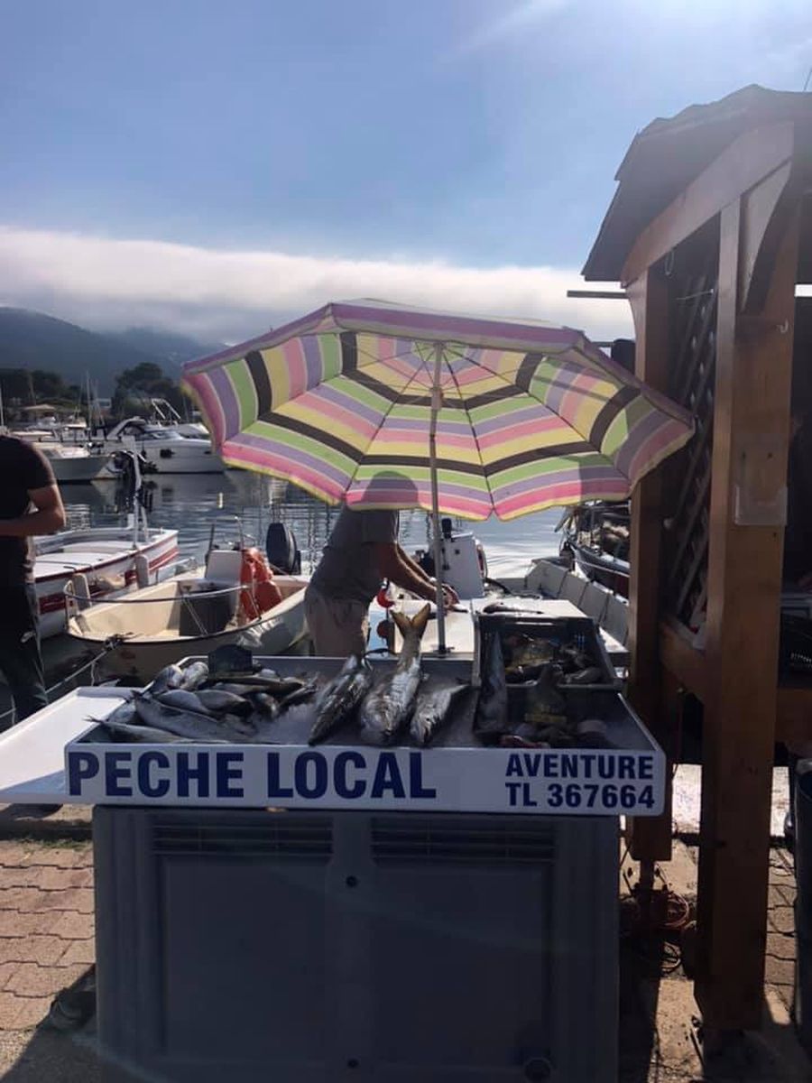 Pêcheur Bateau Aventure Carqueiranne - pêcheur Bateau Aventure Carqueiranne