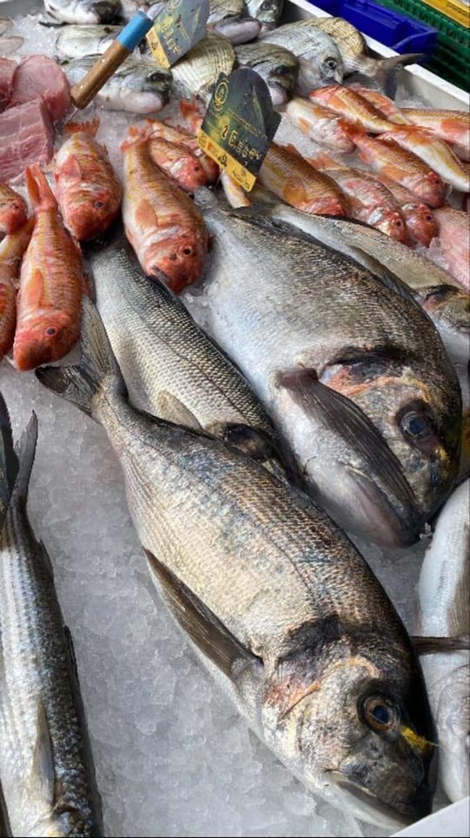 Pêcheur Bateau Aventure Carqueiranne - pêcheur Bateau Aventure Carqueiranne