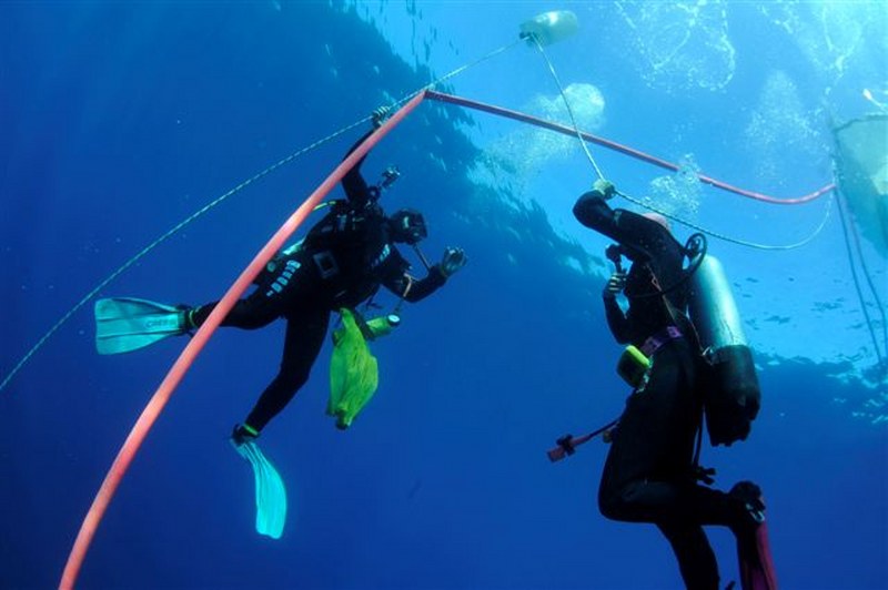 Sun Plongée Baptêmes Exploration sous-marine Ile de Port-Cros Parc National - Sun plongee