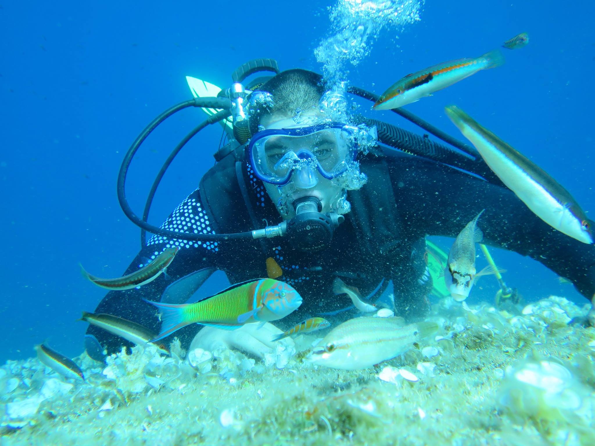 La Tribu Bulles - centre de plongée à Hyeres (Giens) - La Tribu Bulles
